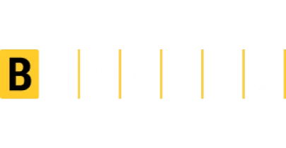 partners who work with 9ipl